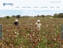 Tablet Screenshot of creditex.com.pe